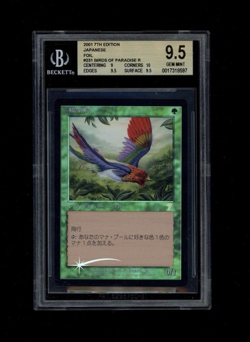 Mtg bgs foil birds of - *mtg*,